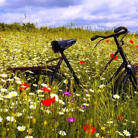 Hotel Manoir De Surville (Eure)