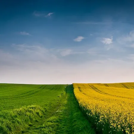 Manoir De 4* Surville (Eure)