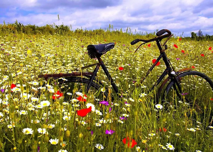 Отель Manoir De Surville Surville (Eure)